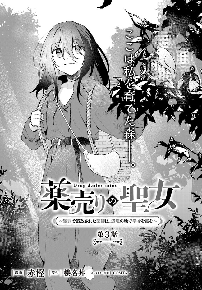 薬売りの聖女 2 ～冤罪で追放された薬師は、辺境の地で幸せを掴む～ 薬売りの聖女 ～冤罪で追放された薬師は、辺境の地で幸せを掴む