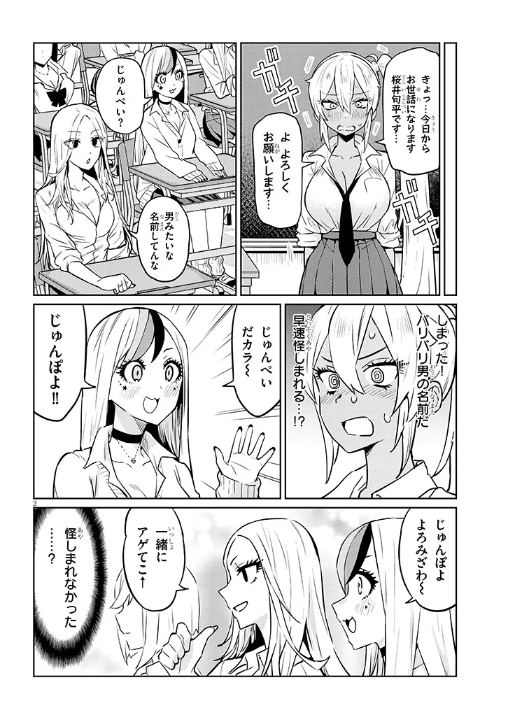 男子高校生だけどギャルにTSしました　ギャルts 太陽まりい 男子高校生だけどギャルにTSしました / 太陽まりい(著者