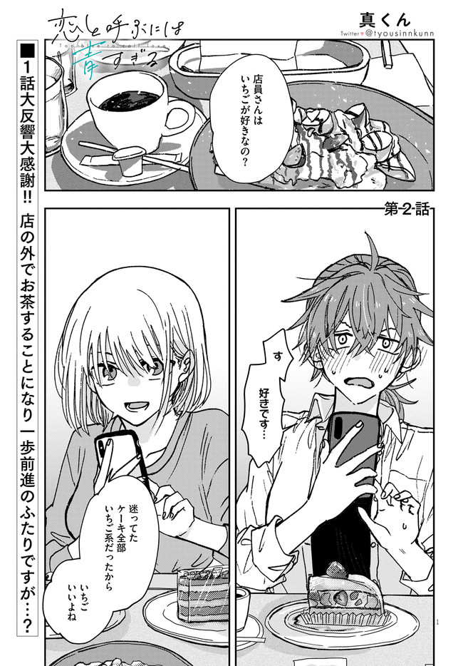 恋と呼ぶには青すぎる 2 【公式通販】